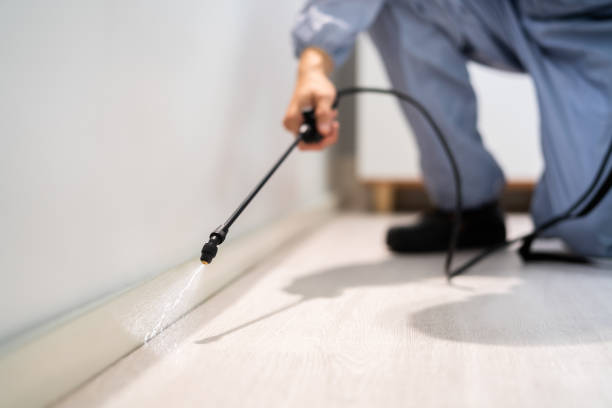 Licensed Mosquito Control service in Richmond, IL - Show Me Pest Control