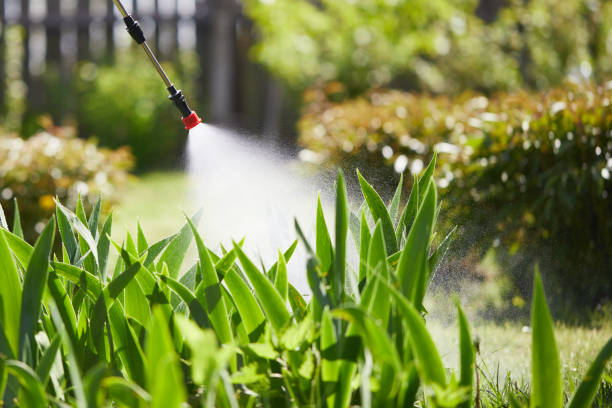 24/7 Emergency Mosquito Control experts in Richmond, IL