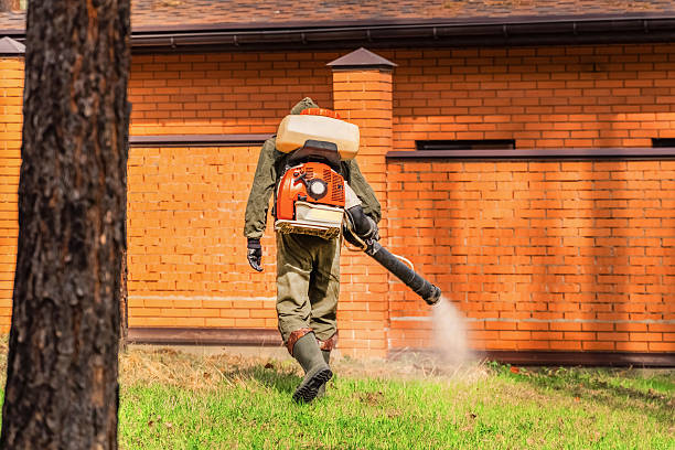 Top rated local Mosquito Control specialists in Richmond, IL